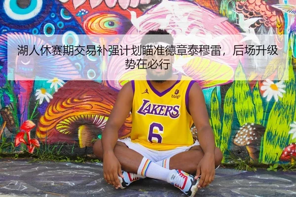 湖人休赛期交易补强计划瞄准德章泰穆雷，后场升级势在必行