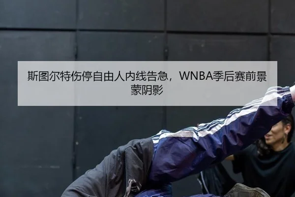 斯图尔特伤停自由人内线告急，WNBA季后赛前景蒙阴影